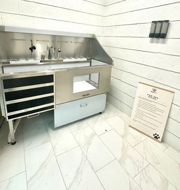 Paw spa for the luxurious pet experience